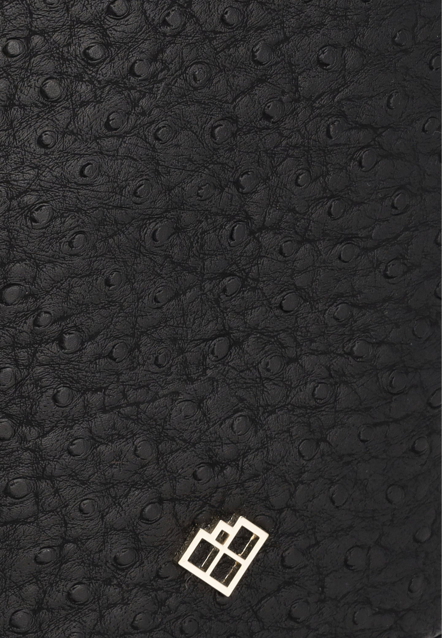 Usha Women's Handbag