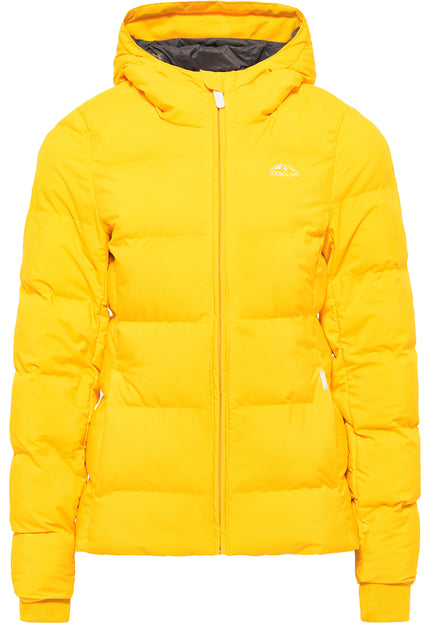 Icebound Women's Winter Jacket