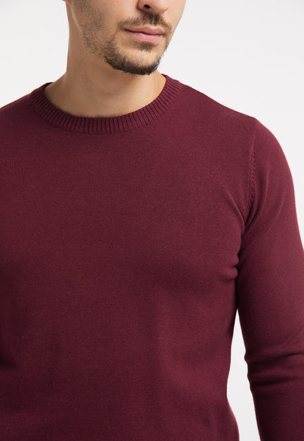 Raido Men's Knitted Sweater