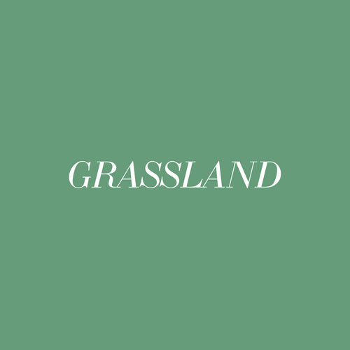 grassland